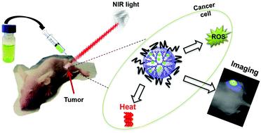 Graphical abstract: Dendrimer-encapsulated naphthalocyanine as a single agent-based theranostic nanoplatform for near-infrared fluorescence imaging and combinatorial anticancer phototherapy
