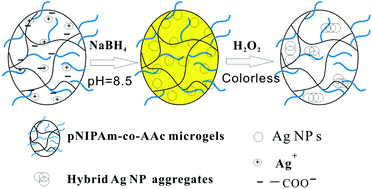 Graphical abstract: Poly (N-isopropylacrylamide)-co-(acrylic acid) microgel/Ag nanoparticle hybrids for the colorimetric sensing of H2O2