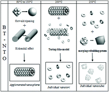 Graphical abstract: Morphogenesis mechanisms in the solvothermal synthesis of BaTiO3 from titanate nanorods and nanotubes