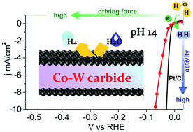 Graphical abstract: Carbon-protected bimetallic carbide nanoparticles for a highly efficient alkaline hydrogen evolution reaction