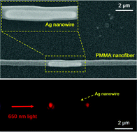Graphical abstract: Excitation of surface plasmons from silver nanowires embedded in polymer nanofibers