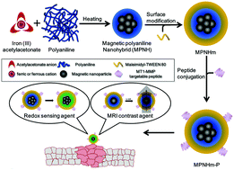 Graphical abstract: A magnetic polyaniline nanohybrid for MR imaging and redox sensing of cancer cells