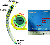Graphical abstract: Wire-shaped ultraviolet photodetectors based on a nanostructured NiO/ZnO coaxial p–n heterojunction via thermal oxidation and hydrothermal growth processes