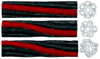 Graphical abstract: Mesoscale mechanics of twisting carbon nanotube yarns