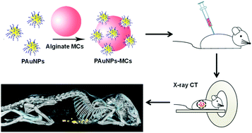 Graphical abstract: Self-assembled gold coating enhances X-ray imaging of alginate microcapsules
