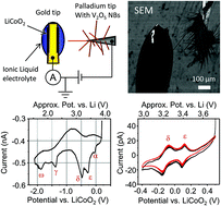 Graphical abstract: In situ SEM study of lithium intercalation in individual V2O5 nanowires