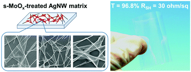 Graphical abstract: A solution-processed molybdenum oxide treated silver nanowire network: a highly conductive transparent conducting electrode with superior mechanical and hole injection properties