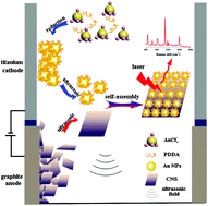 Graphical abstract: One-step sonoelectrochemical fabrication of gold nanoparticle/carbon nanosheet hybrids for efficient surface-enhanced Raman scattering