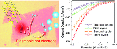 Graphical abstract: Plasmonic hot electron enhanced MoS2 photocatalysis in hydrogen evolution