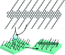 Graphical abstract: Tuning the deposition of molecular graphene nanoribbons by surface functionalization