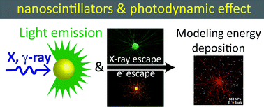 Graphical abstract: Modelling energy deposition in nanoscintillators to predict the efficiency of the X-ray-induced photodynamic effect
