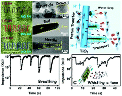 Graphical abstract: Rational tailoring of ZnSnO3/TiO2 heterojunctions with bioinspired surface wettability for high-performance humidity nanosensors