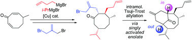 Graphical abstract: A novel synthetic approach to the bicyclo[5.3.1]undecan-11-one framework of vinigrol