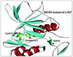 Graphical abstract: Structure-based de novo design and identification of D816V mutant-selective c-KIT inhibitors