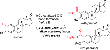 Graphical abstract: Pd(ii)-catalyzed oxidative alkoxycarbonylation of 2-phenoxypyridine derivatives with CO and alcohols
