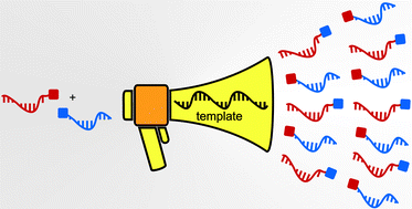 Graphical abstract: Amplification by nucleic acid-templated reactions