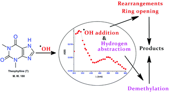 Graphical abstract: Hydroxyl radical induced oxidation of theophylline in water: a kinetic and mechanistic study