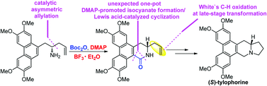 Graphical abstract: An enantioselective strategy for the total synthesis of (S)-tylophorine via catalytic asymmetric allylation and a one-pot DMAP-promoted isocyanate formation/Lewis acid catalyzed cyclization sequence