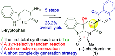 Graphical abstract: Complexity generation by chemical synthesis: a five-step synthesis of (−)-chaetominine from l-tryptophan and its biosynthetic implications