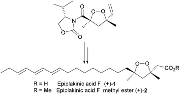 Graphical abstract: Asymmetric synthesis of 3,3,5,5-tetrasubstituted 1,2-dioxolanes: total synthesis of epiplakinic acid F