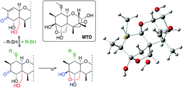 Graphical abstract: Methylthiodeoxynivalenol (MTD): insight into the chemistry, structure and toxicity of thia-Michael adducts of trichothecenes
