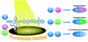 Graphical abstract: Organic synthetic transformations using organic dyes as photoredox catalysts