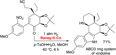Graphical abstract: RANEY® cobalt – an underutilised reagent for the selective cleavage of C–X and N–O bonds