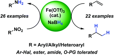 Graphical abstract: Iron-catalysed, general and operationally simple formal hydrogenation using Fe(OTf)3 and NaBH4