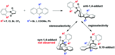 Graphical abstract: Unusual regio- and stereo-selectivity in Diels–Alder reactions between bulky N-phenylmaleimides and anthracene derivatives