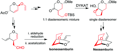 Graphical abstract: The first stereoselective total synthesis of neosemburin and isoneosemburin