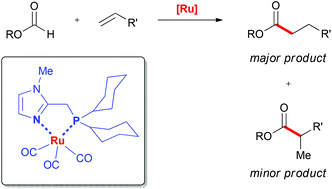 Graphical abstract: Novel ruthenium-catalyst for hydroesterification of olefins with formates