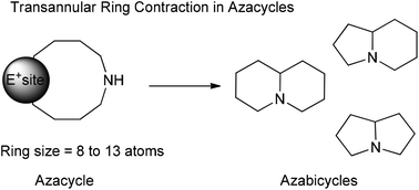 Graphical abstract: Azabicycles construction: the transannular ring contraction with N-protected nucleophiles
