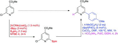 Graphical abstract: Iridium-catalyzed C–H borylation of pyridines