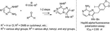 Graphical abstract: Multi-substituted 8-aminoimidazo[1,2-a]pyrazines by Groebke–Blackburn–Bienaymé reaction and their Hsp90 inhibitory activity