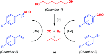 Graphical abstract: Hydroformylation of olefins and reductive carbonylation of aryl halides with syngas formed ex situ from dehydrogenative decarbonylation of hexane-1,6-diol