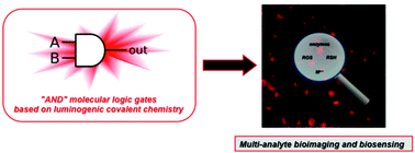 Graphical abstract: “AND” luminescent “reactive” molecular logic gates: a gateway to multi-analyte bioimaging and biosensing