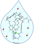 Graphical abstract: Synthesis and physico-chemical properties of the first water soluble Cu(ii)@hemicryptophane complex