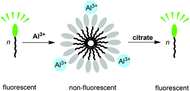 Graphical abstract: Selective detection of Al3+ and citric acid with a fluorescent amphiphile