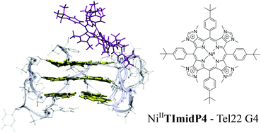 Graphical abstract: Binding modes of a core-extended metalloporphyrin to human telomeric DNA G-quadruplexes