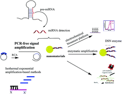 Graphical abstract: A review: microRNA detection methods