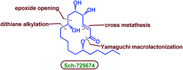 Graphical abstract: An enantioselective total synthesis of Sch-725674