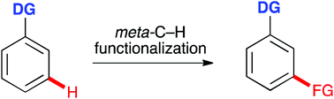 Graphical abstract: Transition metal catalyzed meta-C–H functionalization of aromatic compounds