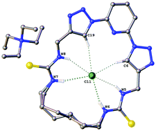 Graphical abstract: Anion binding and transport properties of cyclic 2,6-bis(1,2,3-triazol-1-yl)pyridines
