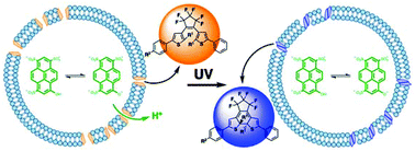 Graphical abstract: Photocontrol of ion permeation in lipid vesicles with amphiphilic dithienylethenes