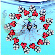 Graphical abstract: Primary amine recognition in water by a calix[6]aza-cryptand incorporated in dodecylphosphocholine micelles
