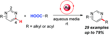 Graphical abstract: Silver catalysed decarboxylative alkylation and acylation of pyrimidines in aqueous media