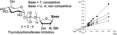 Graphical abstract: Polyphosphate-containing bisubstrate analogues as inhibitors of a bacterial cell wall thymidylyltransferase