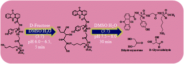 Graphical abstract: Strategically designed biomodel: engineering C3–C4 cleavage of d-fructose