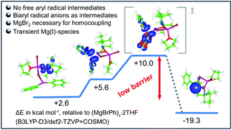 Graphical abstract: TEMPO-mediated homocoupling of aryl Grignard reagents: mechanistic studies