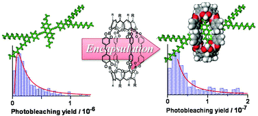 Graphical abstract: Enhanced photostability of an anthracene-based dye due to supramolecular encapsulation: a new type of photostable fluorophore for single-molecule study